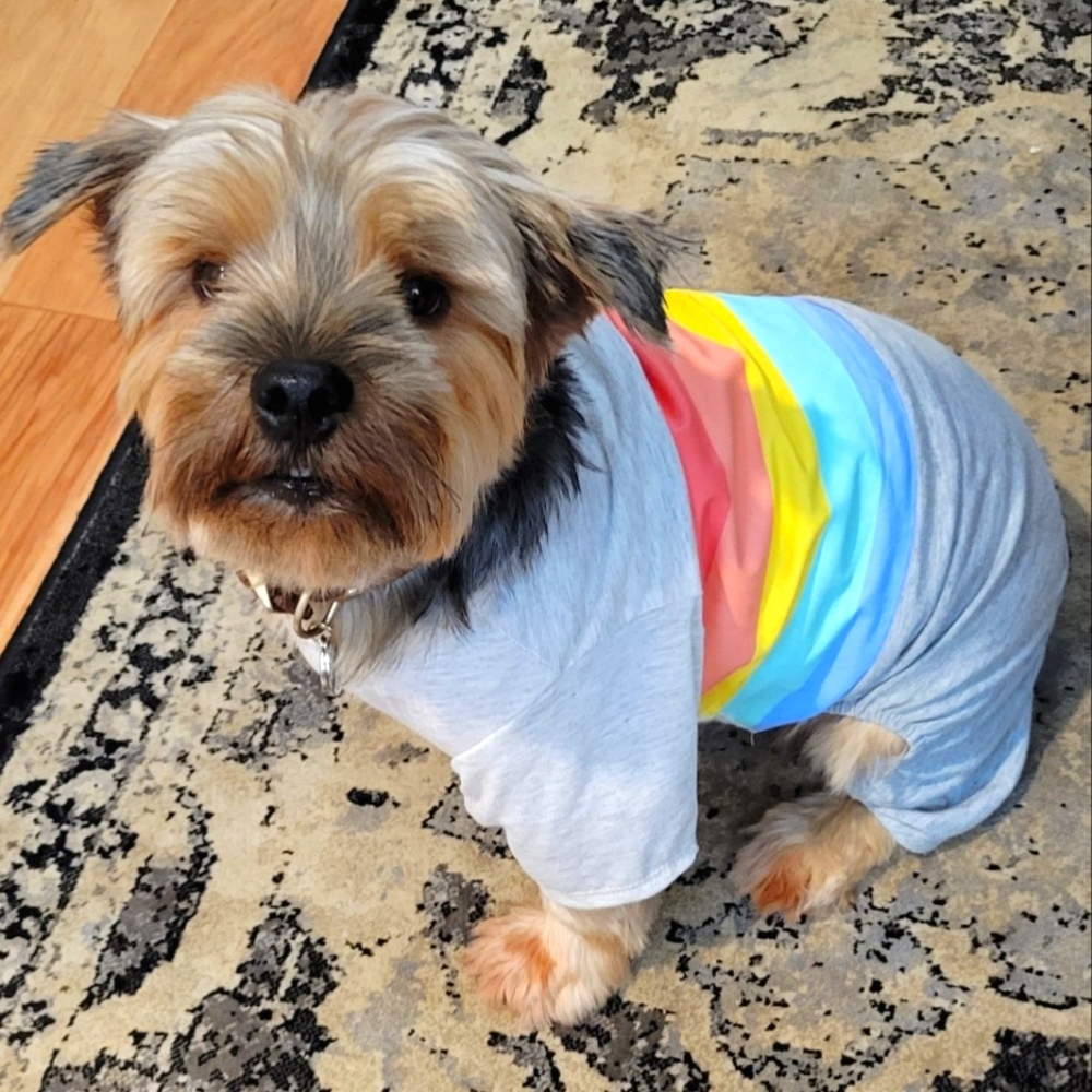 💖 2x Host Pick!💖  Pup Crew Dog Rainbow Onesie Large